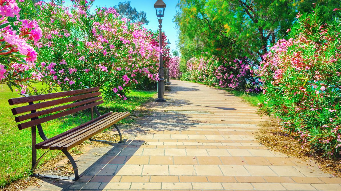 The Best Homes for Sale in Suffolk VA + The Biggest Events & News about